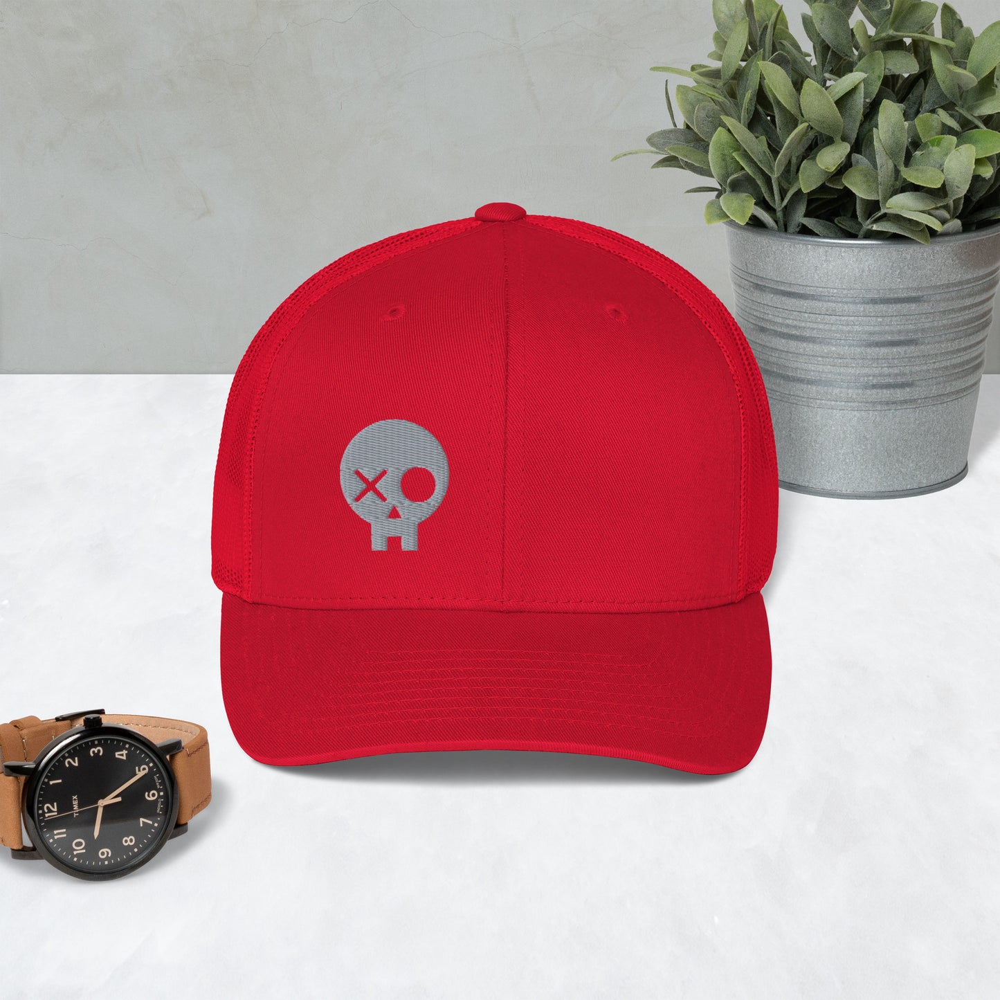 BirxLabs Hat